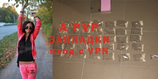 индика Абаза