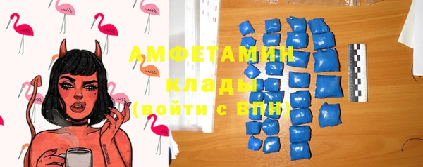 индика Абаза