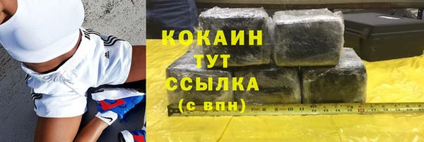 индика Абаза