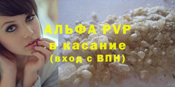 индика Абаза