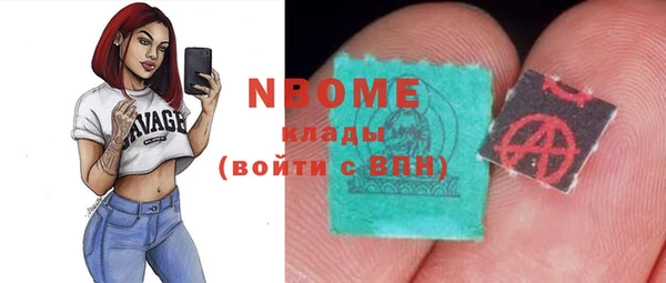 индика Абаза