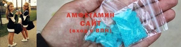 индика Абаза