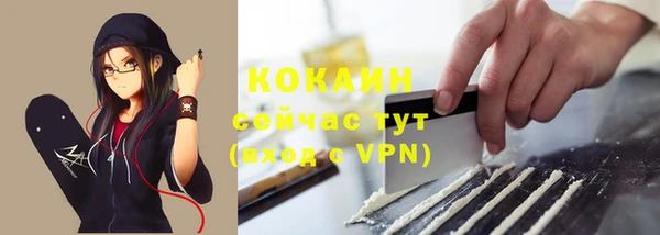 индика Абаза