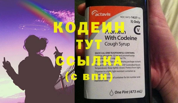 индика Абаза